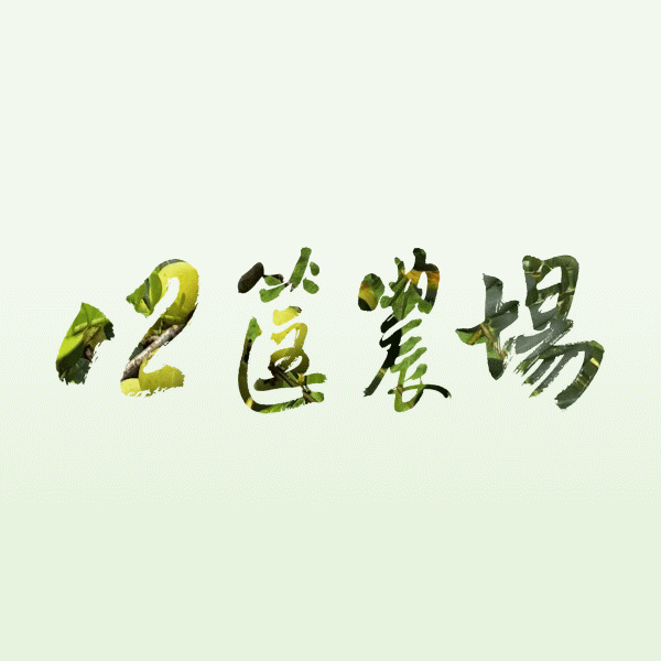12筐農場,中秋節限定特價優惠活動